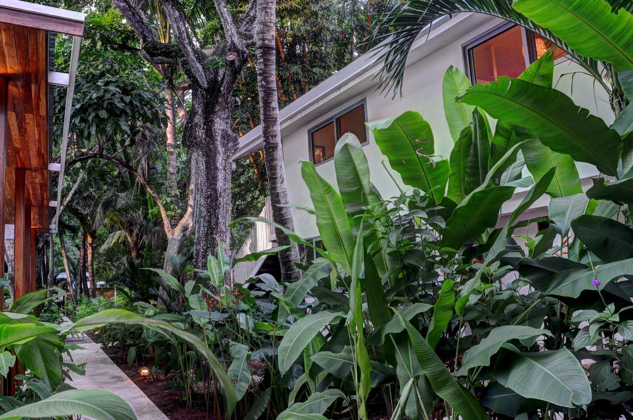 Moana Surf Resort Nosara Exterior photo