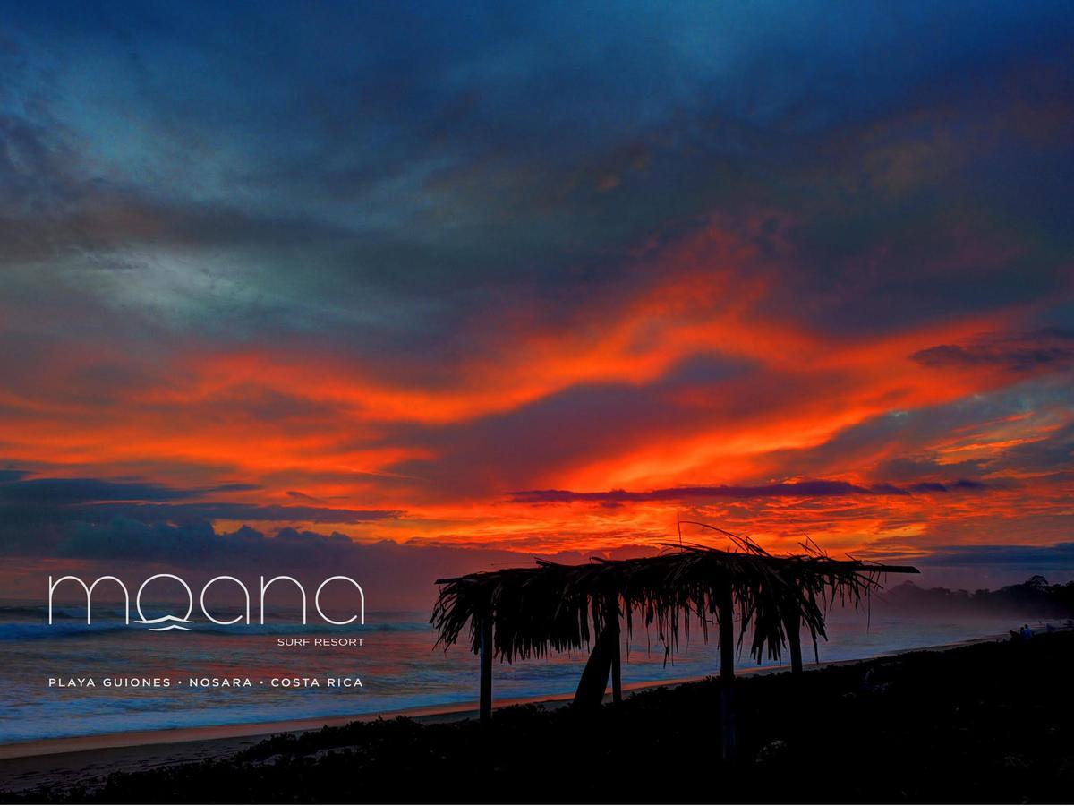 Moana Surf Resort Nosara Exterior photo